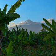 TUKIO Afrika - GALLERY