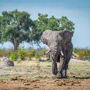 TUKIO Afrika - GALLERY