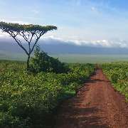 TUKIO Afrika - GALLERY