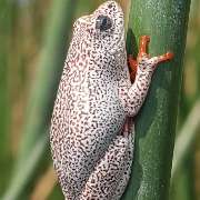 TUKIO Afrika - GALLERY