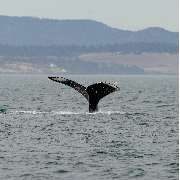 TUKIO Afrika - GALLERY