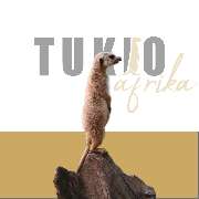 TUKIO Afrika - GALLERY
