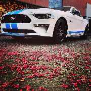 TWOinONE Werbetechnik + Folierung - CFB5D26C-8234-4ADA-9144-4E3DCE19BEF5.JPG