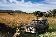 Uganda-Tansania Safaris - 10