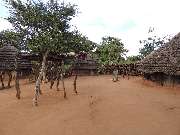 Uganda-Tansania Safaris - 6