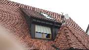 Ulrich Gerber Ltd. Rund Ums Dach - GALLERY
