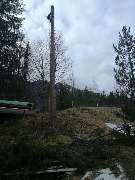 Ulrich Krummel Haus- & Gartendienste, Garten- & Landschaftsbau - Baumfällung