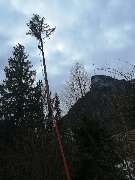 Ulrich Krummel Haus- & Gartendienste, Garten- & Landschaftsbau - Baumfällung (bis 40 m Höhe)