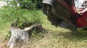 Ulrich Krummel Haus- & Gartendienste, Garten- & Landschaftsbau - Baumstumpf fräsen