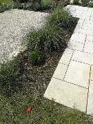 Ulrich Krummel Haus- & Gartendienste, Garten- & Landschaftsbau - Beetanlage mit Travertinweg