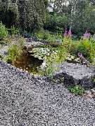 Ulrich Krummel Haus- & Gartendienste, Garten- & Landschaftsbau - Gartenteich