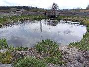 Ulrich Krummel Haus- & Gartendienste, Garten- & Landschaftsbau - Löschteich Befüllung