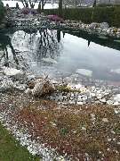 Ulrich Krummel Haus- & Gartendienste, Garten- & Landschaftsbau - Naturteich