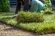 Ulrich Krummel Haus- & Gartendienste, Garten- & Landschaftsbau - Rollrasen