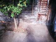 Umme Power - Ihr Umzugsexperte - GALLERY