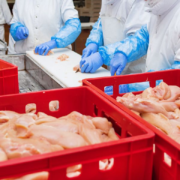 Umut fleisch GmbH - GALLERY