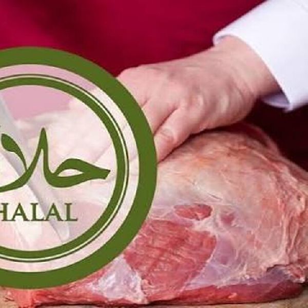 Umut fleisch GmbH - GALLERY