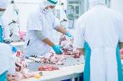 Umut fleisch GmbH - GALLERY