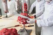 Umut fleisch GmbH - GALLERY
