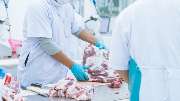 Umut fleisch GmbH - GALLERY
