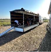 Umzüge Ganserer - GALLERY