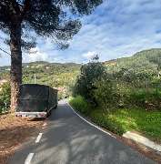 Umzüge Ganserer - GALLERY