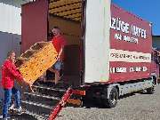 Umzüge Mayer - GALLERY