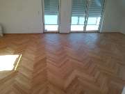 Umzüge S.F. - GALLERY