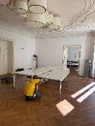 Umzug Stern - GALLERY