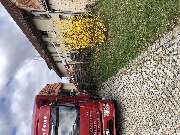 Umzugsspedition Feige - GALLERY