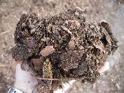 URD Umwelt- und Recycling Dienstleistungs GmbH Grüneberg - GALLERY