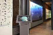 Urwelt-Museum Hauff GmbH & Co. KG - Am Terminal können sich die Besucher digital informieren.