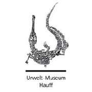 Urwelt-Museum Hauff GmbH & Co. KG - Das Urwelt-Museum Hauff mit seinen weltberühmten Versteinerungen aus den Posidonienschiefern steht inmitten der Fossilfundstätte Holzmaden.