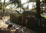 Urwelt-Museum Hauff GmbH & Co. KG - In der Außenanlage des Museums sind an einem See zwischen urweltlichen Schachtelhalmen, Ginkgo- und Mammutbäumen acht lebensgroße Dinosaurier zu finden die im Erdmittelalter an Land gelebt haben.