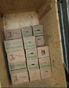 USD UMZÜGE | SERVICES GmbH - GALLERY