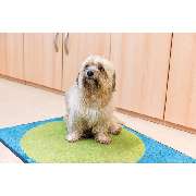 Ute Hain-Krause LogopädieZentrum - GALLERY