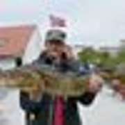 uwes-norwegen-angelreisen - 2