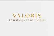 Valoris Auftragsstruktur - 1