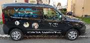 VAPUSERVICE Gebäudereinigung & Bauservice Freiburg - 3