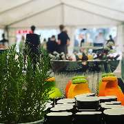 VEINKOST einfach vegan - GALLERY