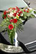Vera Fischer Blumen Bandolino - GALLERY