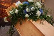 Vera Fischer Blumen Bandolino - GALLERY