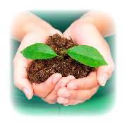 Verde Gartenbau Meisterbetrieb, Philipp E. Seeger - 2