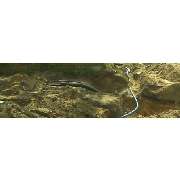 Vermessungsbüro David Bornemann - ÖbVI - GALLERY