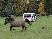 Vermessungsbüro Drerup - Öffentlich bestellte Vermessungsingenieure - GALLERY