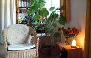 Veronika Rohmann Psychotherapie - Systemische Therapie - Veronika Rohmann Psychotherapie / Systemische Therapie / Tanztherapie