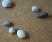 Veronika Rohmann Psychotherapie - Systemische Therapie - Veronika Rohmann Psychotherapie / Systemische Therapie / Tanztherapie