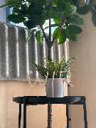 Versicherungskammer Bayern - Versicherungsagentur Rene Reichsebner - GALLERY