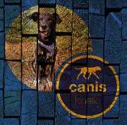 Verstehst Du mich - GALLERY