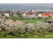 Verwaltungsgemeinschaft, Kleinwallstadt - GALLERY